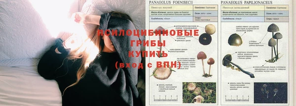 марихуана Алексин