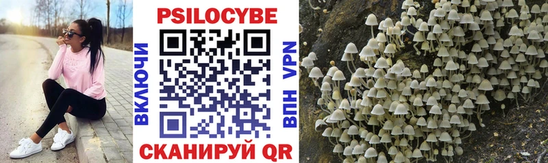 Псилоцибиновые грибы Magic Shrooms  цена   Белоозёрский 